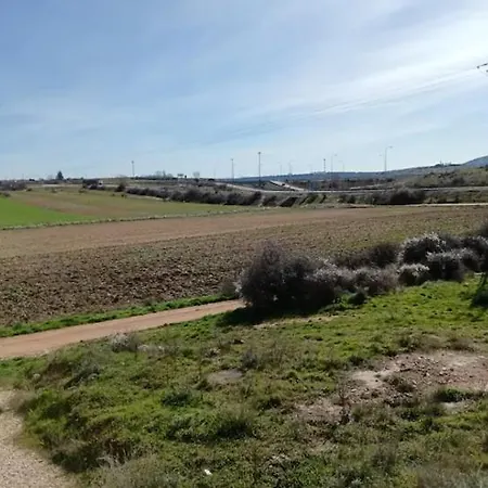 Real 1h Holiday home